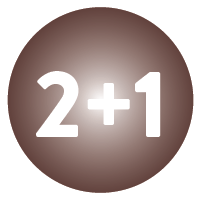 2+1